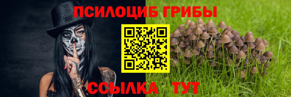 Псилоцибиновые грибы мицелий Шадринск